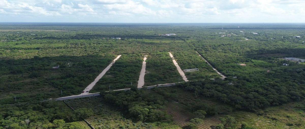 Foto de terreno habitacional en venta en  , motul de carrillo puerto centro, motul, yucatán, 30644492 No. 05