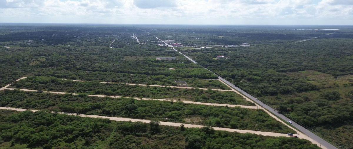 Foto de terreno habitacional en venta en  , motul de carrillo puerto centro, motul, yucatán, 30710371 No. 04