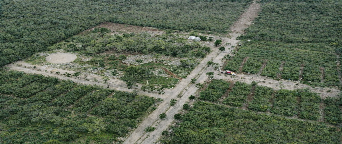 Foto de terreno habitacional en venta en  , motul de carrillo puerto centro, motul, yucatán, 0 No. 03