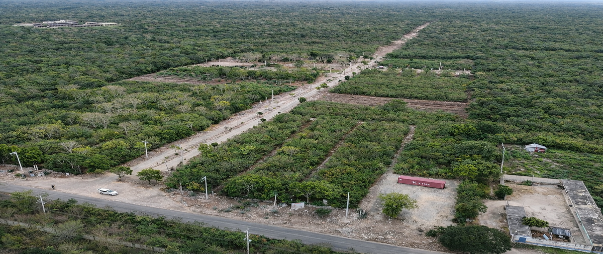 Foto de terreno habitacional en venta en  , motul de carrillo puerto centro, motul, yucatán, 0 No. 04