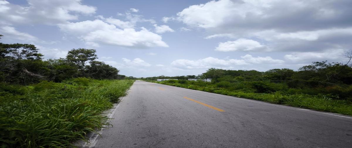 Foto de terreno habitacional en venta en  , motul de carrillo puerto centro, motul, yucatán, 0 No. 04