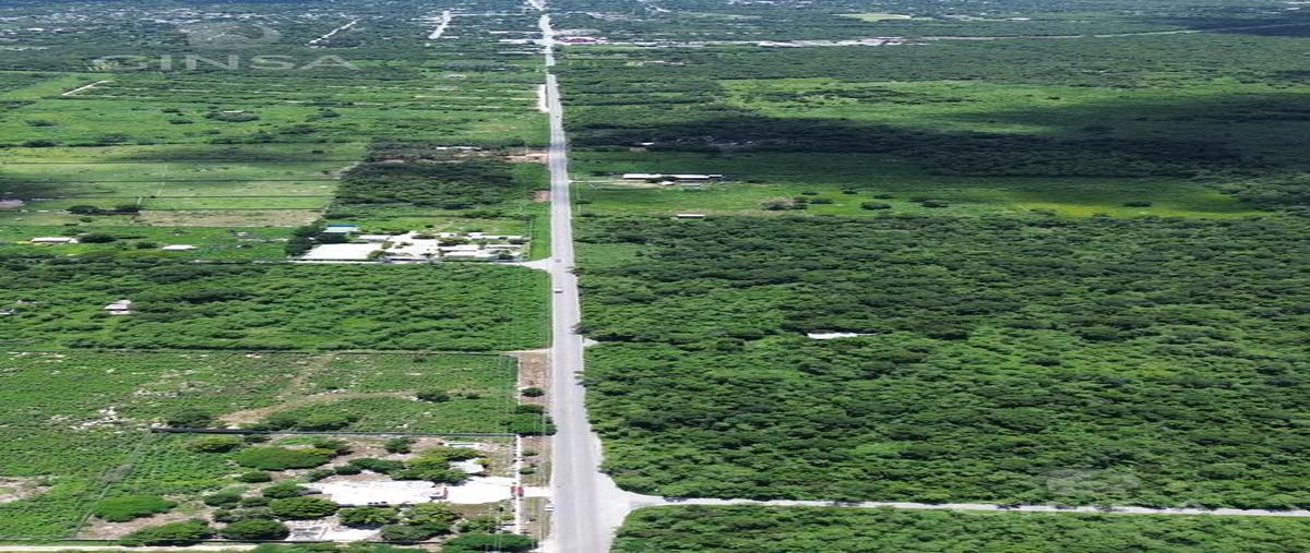 Foto de terreno habitacional en , motul de carrillo puerto centro, motul, yucatán, 0 foto 03 Foto de terreno habitacional en venta en , motul de carrillo puerto centro, motul, yucatán, 0 No. 03