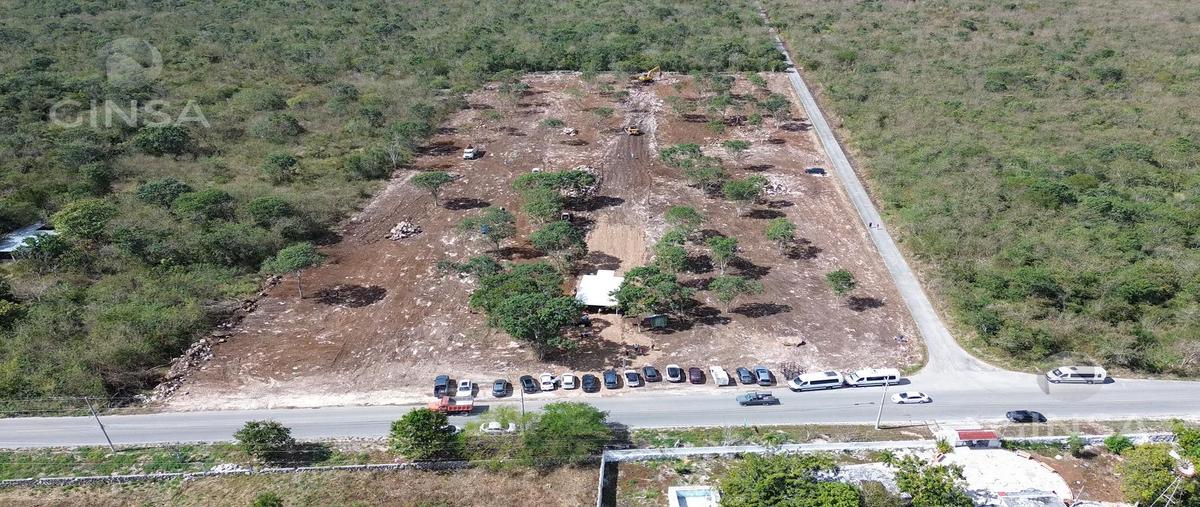 Foto de terreno habitacional en , motul de carrillo puerto centro, motul, yucatán, 0 foto 04 Foto de terreno habitacional en venta en , motul de carrillo puerto centro, motul, yucatán, 0 No. 04