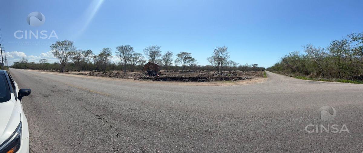 Foto de terreno habitacional en , motul de carrillo puerto centro, motul, yucatán, 30987522 foto 05 Foto de terreno habitacional en venta en , motul de carrillo puerto centro, motul, yucatán, 30987522 No. 05