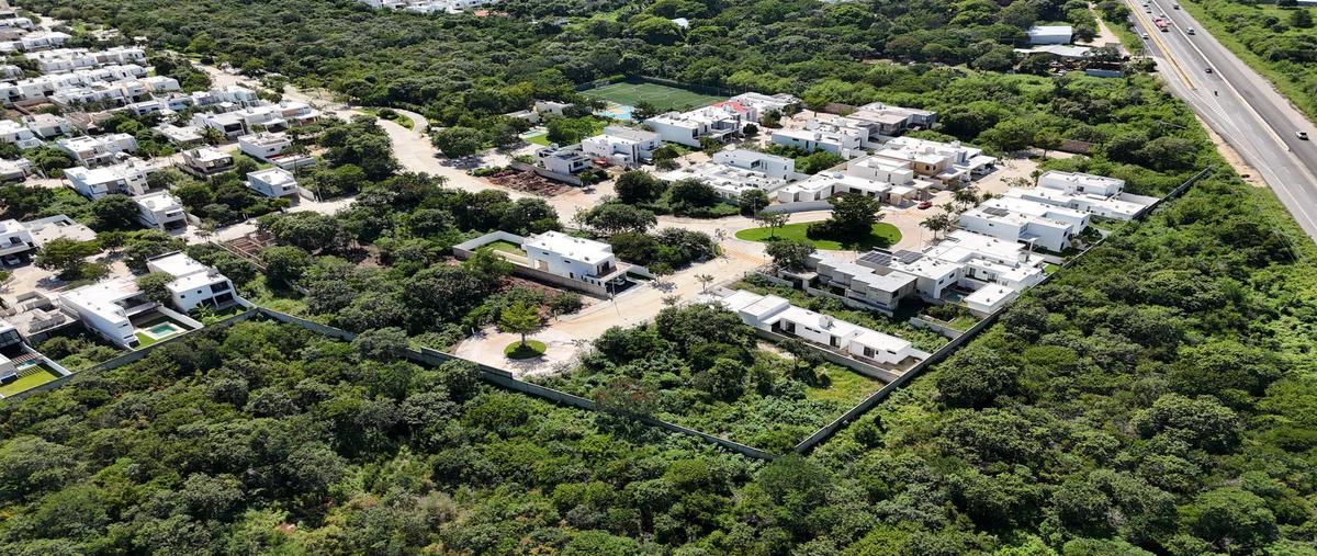 Foto de terreno habitacional en , motul de carrillo puerto centro, motul, yucatán, 0 foto 05 Foto de terreno habitacional en venta en , motul de carrillo puerto centro, motul, yucatán, 0 No. 05