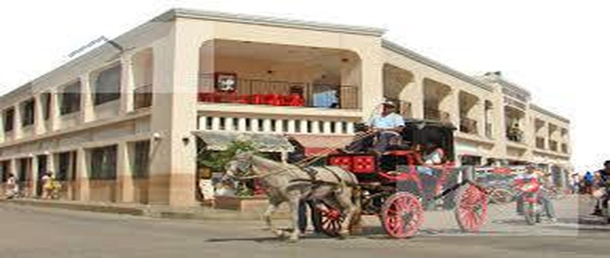 Foto de terreno habitacional en venta en  , motul de carrillo puerto centro, motul, yucatán, 0 No. 05