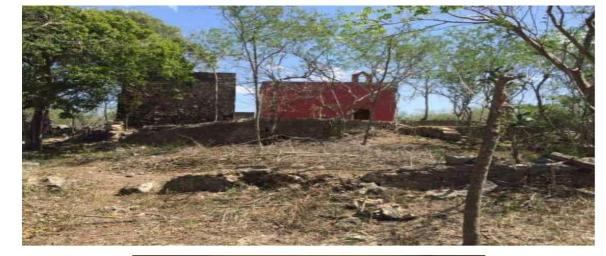 Foto de terreno habitacional en venta en  , motul de carrillo puerto centro, motul, yucatán, 6584444 No. 04