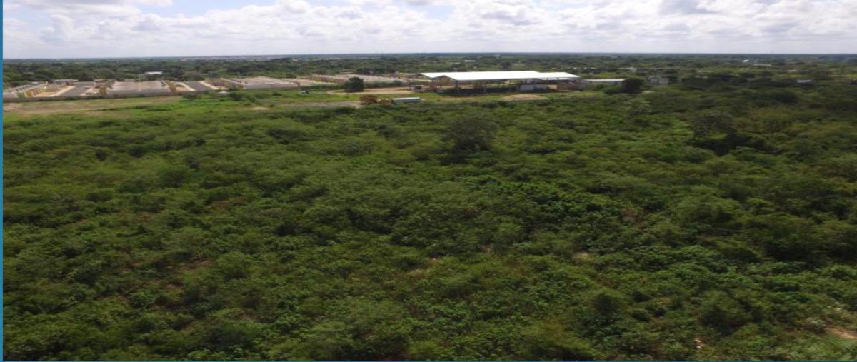 Foto de terreno habitacional en venta en  , mulchechen, kanasín, yucatán, 30710916 No. 03