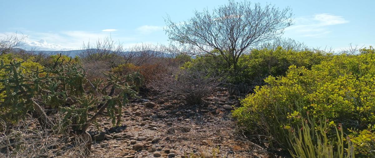 Foto de terreno habitacional en venta en mulege , san lucas, mulegé, baja california sur, 31510507 No. 03
