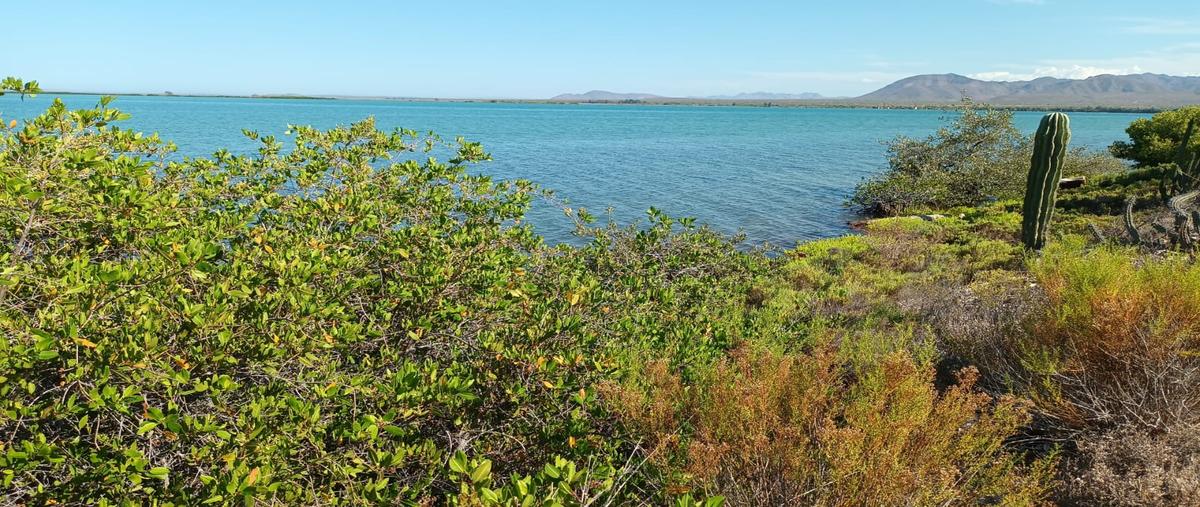 Foto de terreno habitacional en venta en mulege , san lucas, mulegé, baja california sur, 31510507 No. 04