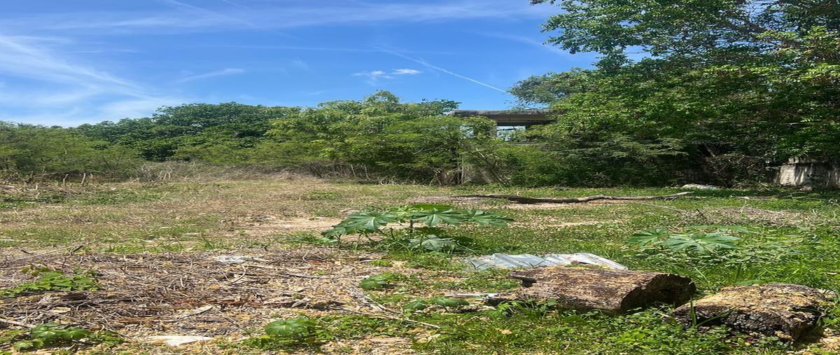 Foto de terreno habitacional en venta en  , mulsay, mérida, yucatán, 0 No. 03