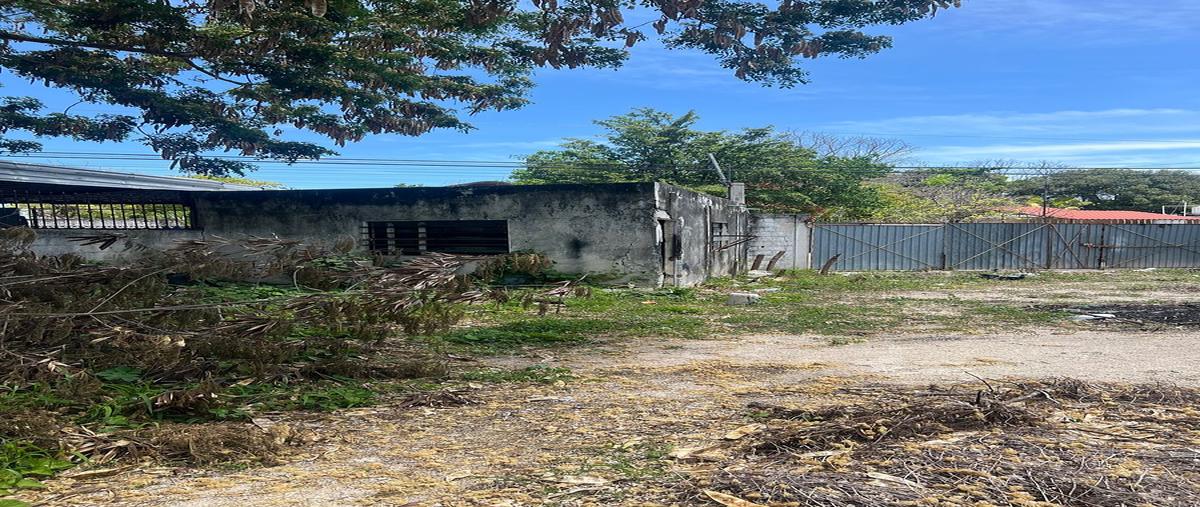 Foto de terreno habitacional en venta en  , mulsay, mérida, yucatán, 0 No. 04
