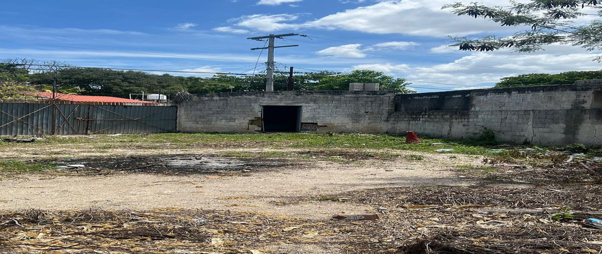 Foto de terreno habitacional en venta en  , mulsay, mérida, yucatán, 0 No. 05