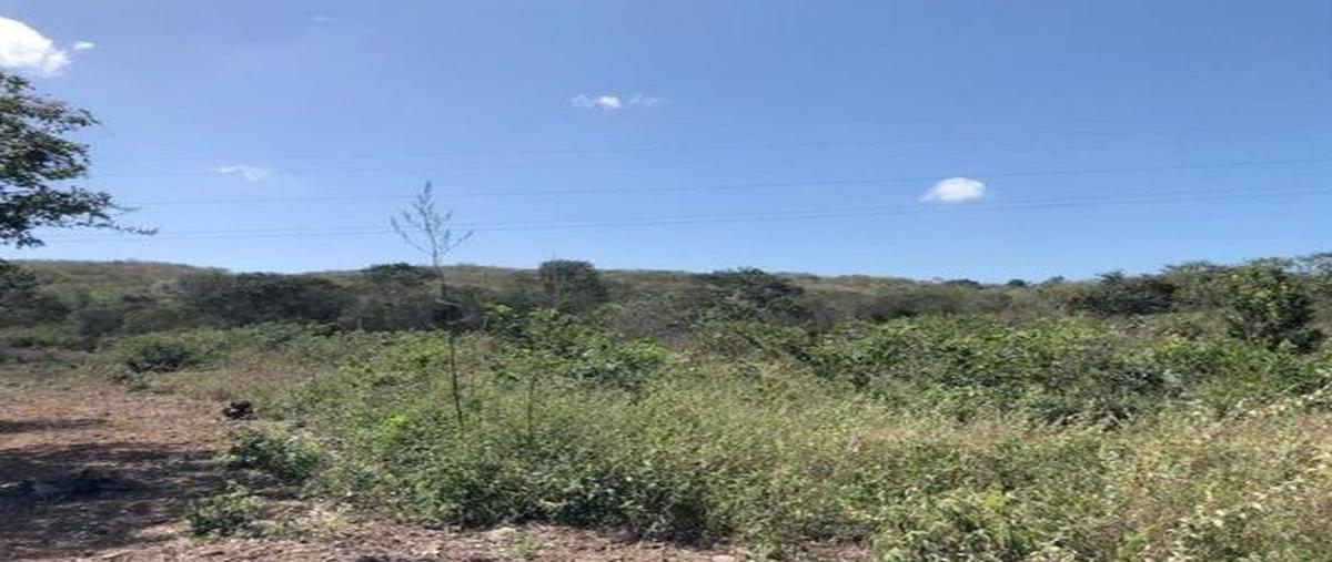 Foto de terreno habitacional en venta en  , muna de leopoldo arana cabrera, muna, yucatán, 22931552 No. 03