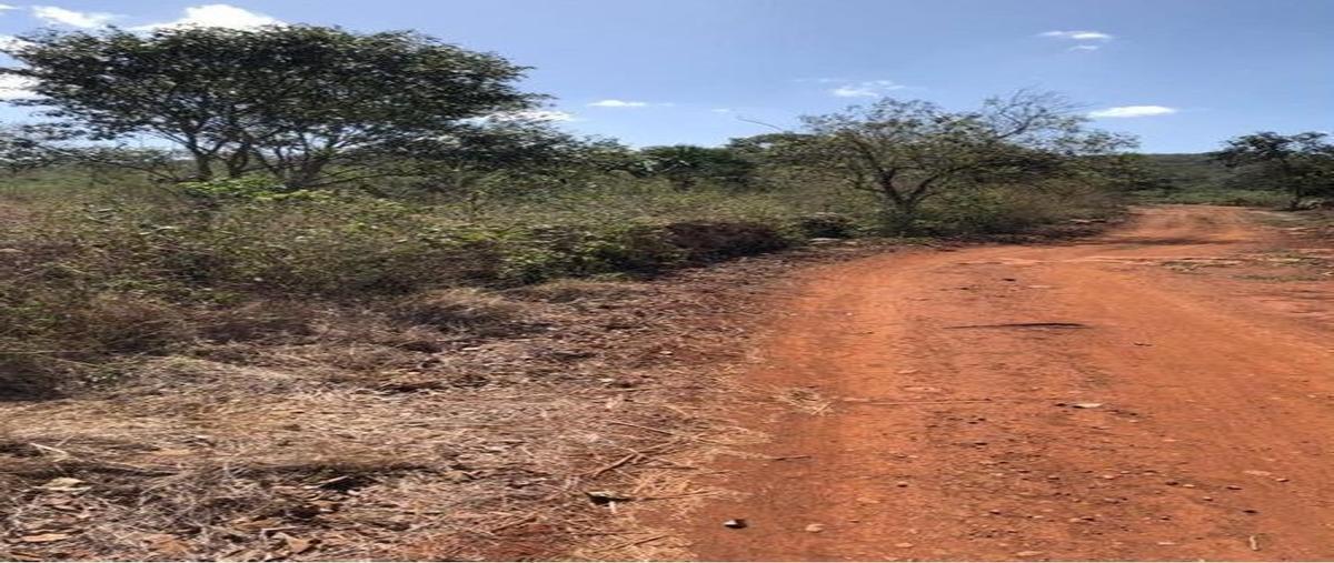 Foto de terreno habitacional en venta en  , muna de leopoldo arana cabrera, muna, yucatán, 22931552 No. 05