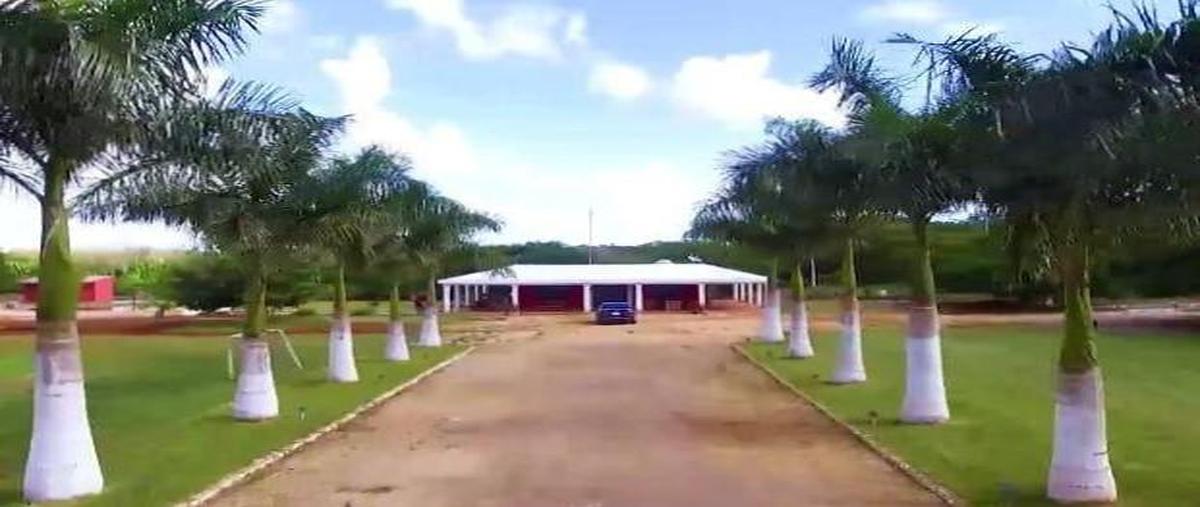 Foto de rancho en venta en  , muna de leopoldo arana cabrera, muna, yucatán, 0 No. 04