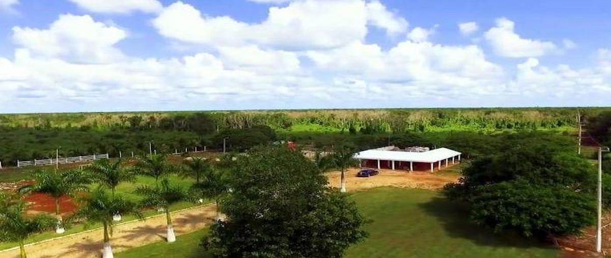 Foto de rancho en venta en  , muna de leopoldo arana cabrera, muna, yucatán, 0 No. 05