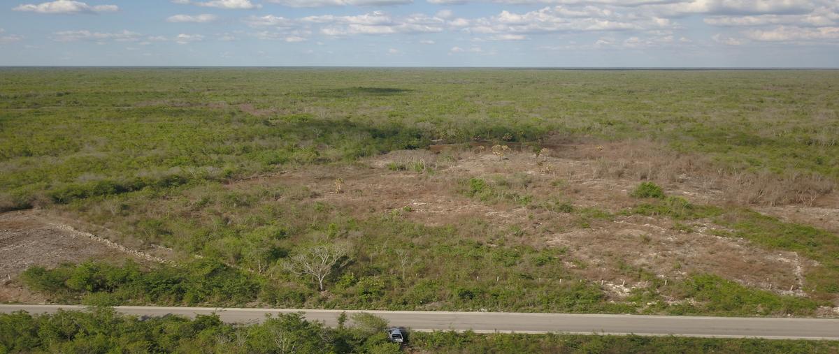 Foto de terreno habitacional en venta en muna - maxcanú , opichen, opichén, yucatán, 28743536 No. 04