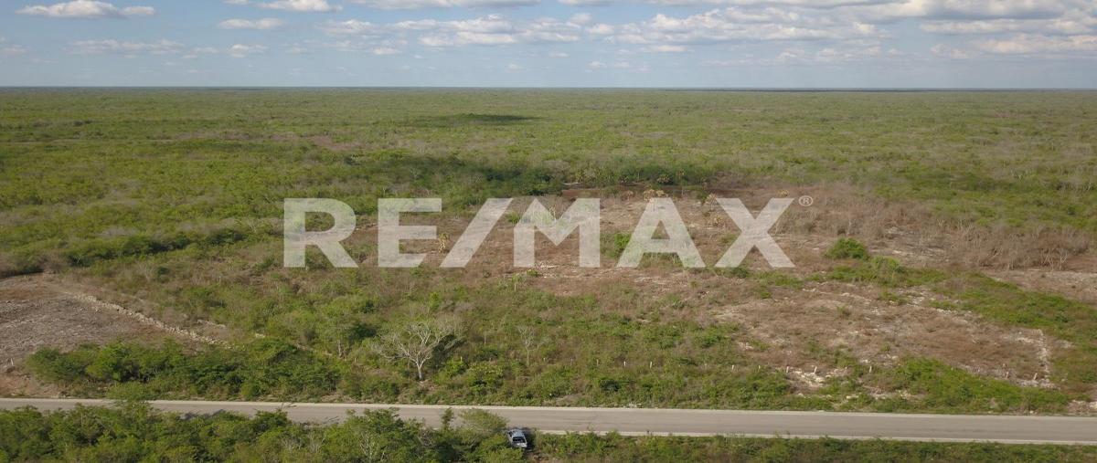 Foto de terreno habitacional en venta en muna - maxcanú , opichen, opichén, yucatán, 0 No. 04