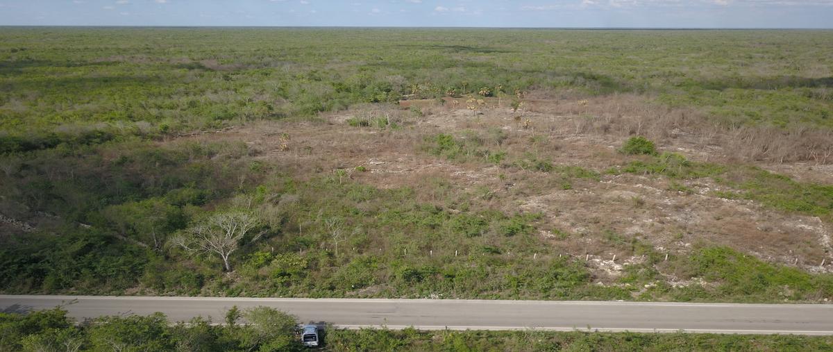 Foto de terreno habitacional en venta en muna - maxcanú , opichen, opichén, yucatán, 28743536 No. 05
