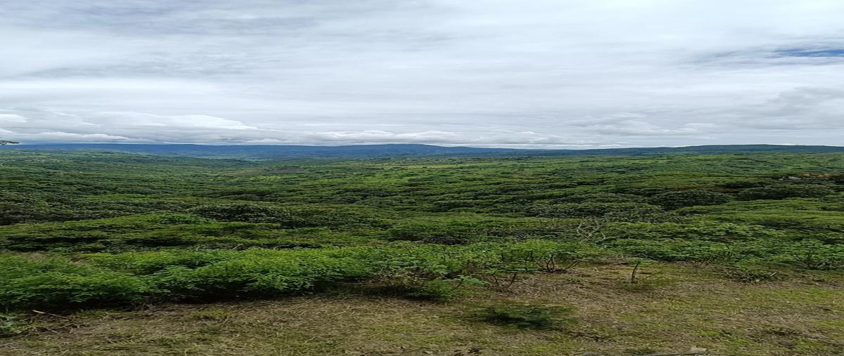 Foto de terreno habitacional en mundo aventura , mazamitla, mazamitla, jalisco, 28400842 foto 01 Foto de terreno habitacional en venta en mundo aventura , mazamitla, mazamitla, jalisco, 28400842 No. 01