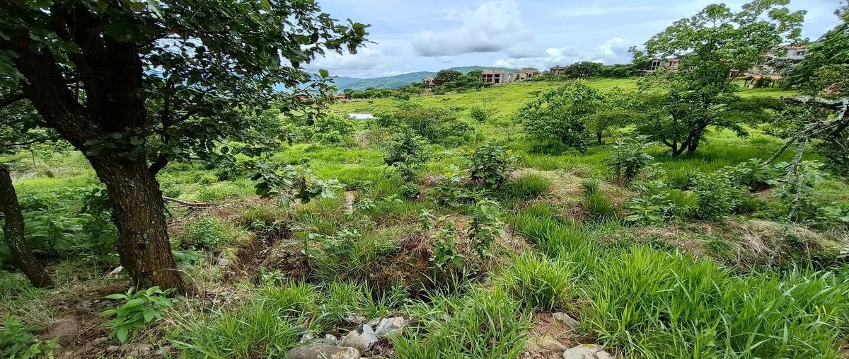 Foto de terreno habitacional en mundo aventura , mazamitla, mazamitla, jalisco, 28400842 foto 03 Foto de terreno habitacional en venta en mundo aventura , mazamitla, mazamitla, jalisco, 28400842 No. 03