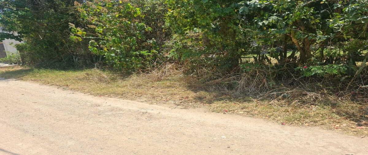 Foto de terreno habitacional en venta en municipio , san miguel, berriozábal, chiapas, 28553062 No. 03