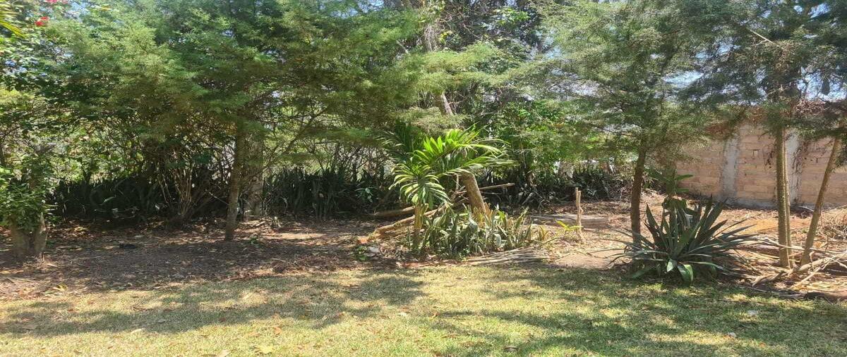 Foto de terreno habitacional en venta en municipio , san miguel, berriozábal, chiapas, 28553062 No. 04