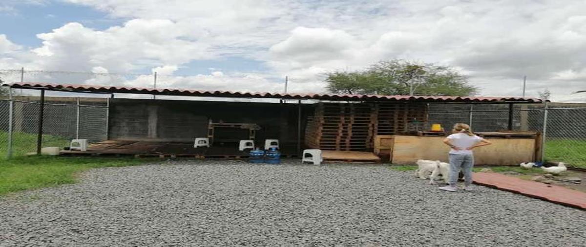 Foto de terreno habitacional en venta en  , muralla de jesús del monte, san francisco del rincón, guanajuato, 27060025 No. 05