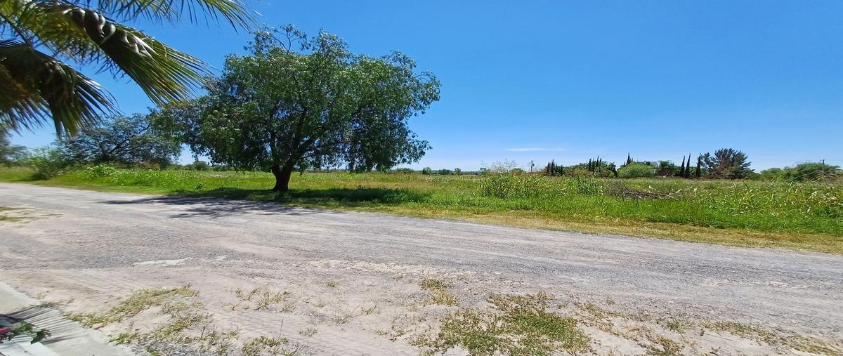 Foto de terreno habitacional en , muralla de jesús del monte, san francisco del rincón, guanajuato, 28067659 foto 02 Foto de terreno habitacional en venta en , muralla de jesús del monte, san francisco del rincón, guanajuato, 28067659 No. 02