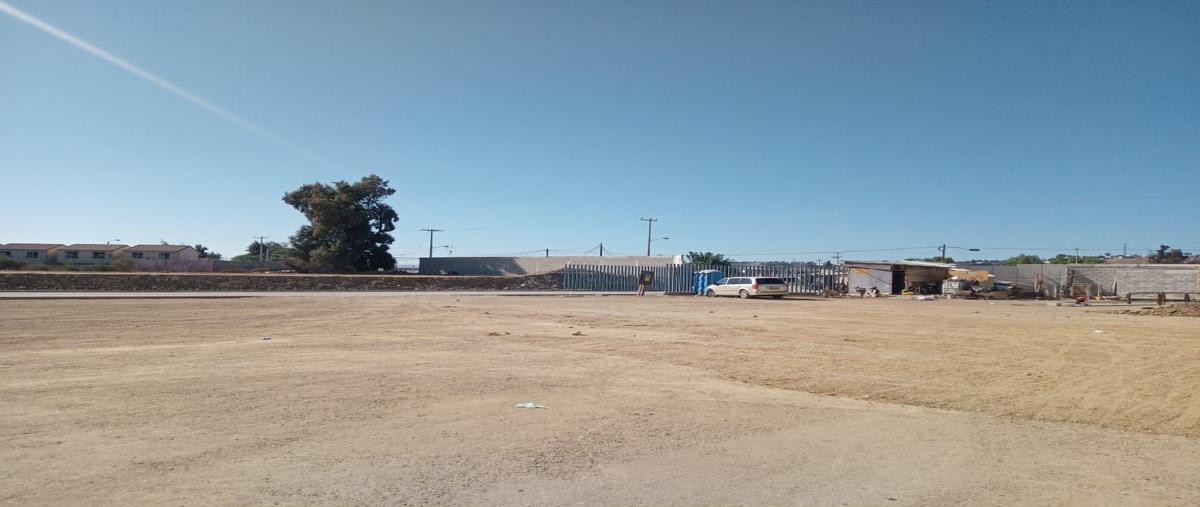 Foto de bodega en murua , murua oriente, tijuana, baja california, 17534475 foto 05 Foto de bodega en renta en murua , murua oriente, tijuana, baja california, 17534475 No. 05