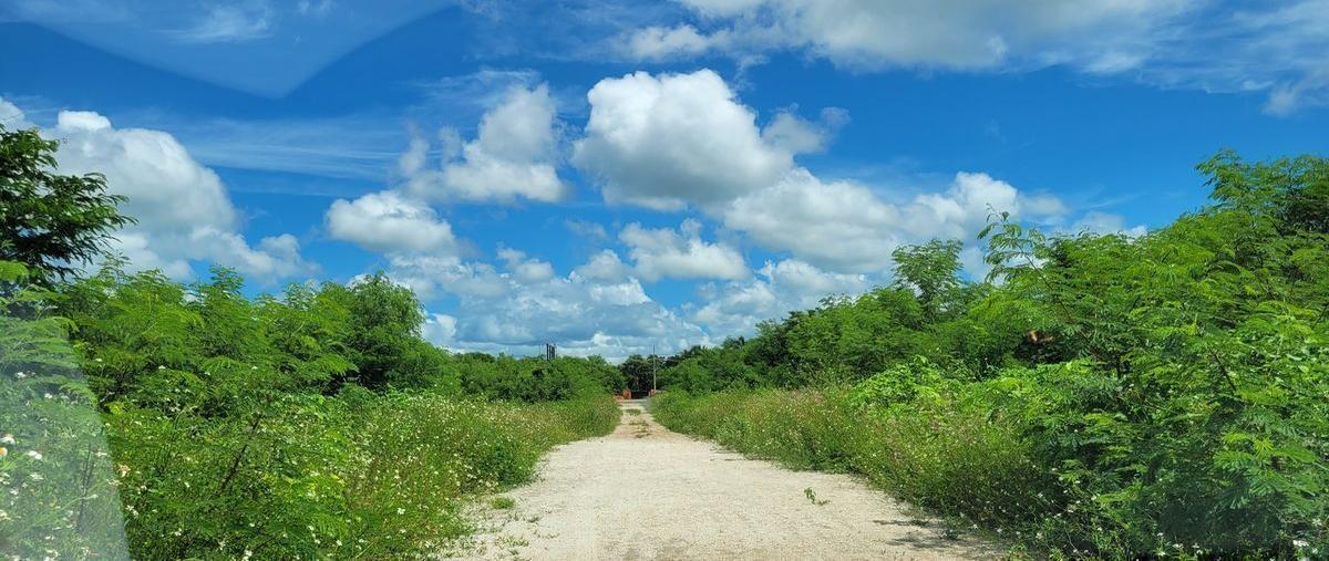 Foto de terreno habitacional en venta en  , muxupip, muxupip, yucatán, 25450735 No. 03