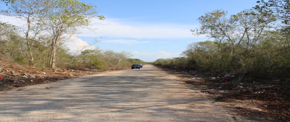 Foto de terreno habitacional en venta en  , muxupip, muxupip, yucatán, 27333591 No. 03