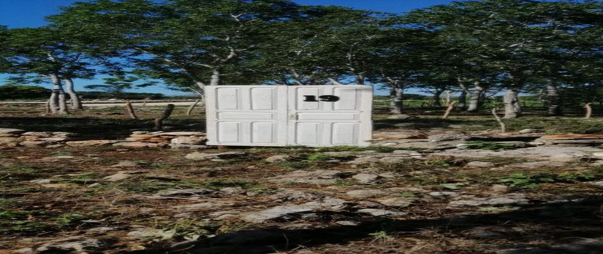 Foto de terreno habitacional en venta en  , muxupip, muxupip, yucatán, 0 No. 04