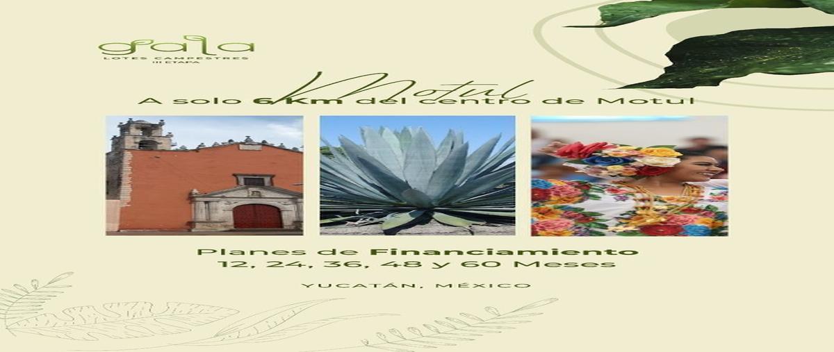 Foto de terreno habitacional en venta en  , muxupip, muxupip, yucatán, 0 No. 04