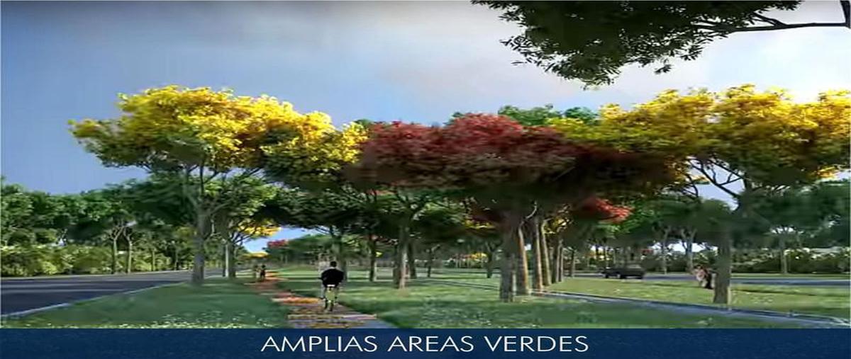 Foto de terreno habitacional en venta en  , muxupip, muxupip, yucatán, 0 No. 04