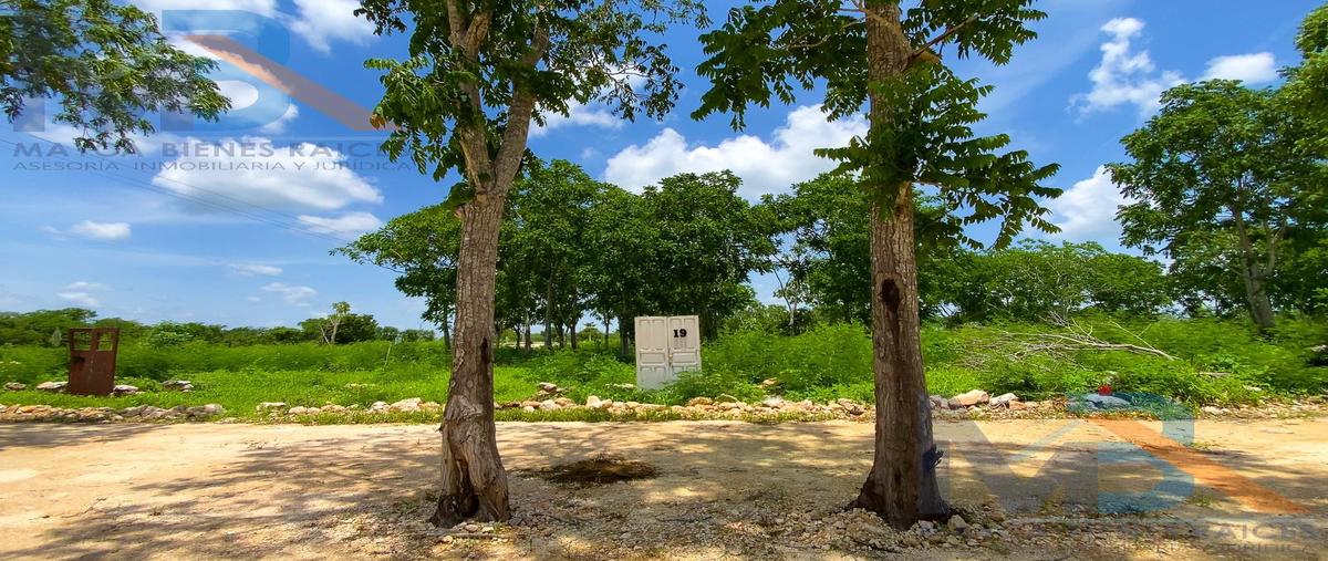Foto de terreno habitacional en venta en  , muxupip, muxupip, yucatán, 29866967 No. 05