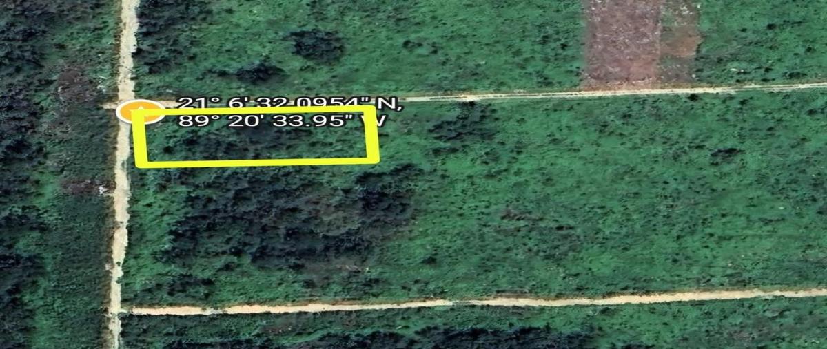 Foto de terreno habitacional en venta en  , muxupip, muxupip, yucatán, 0 No. 03