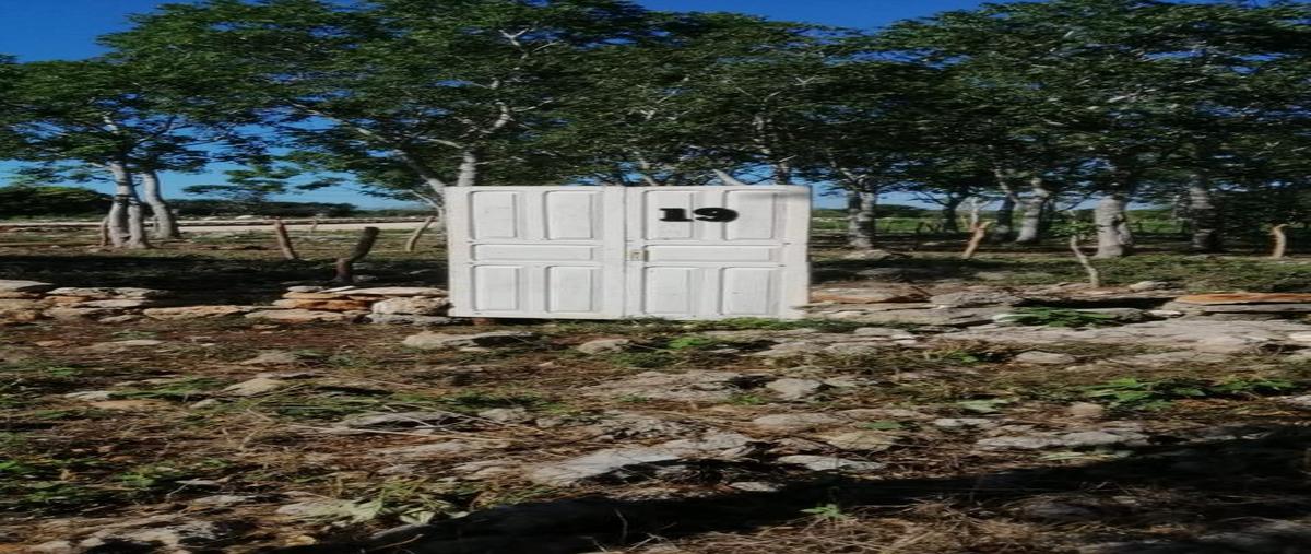 Foto de terreno habitacional en venta en  , muxupip, muxupip, yucatán, 0 No. 03