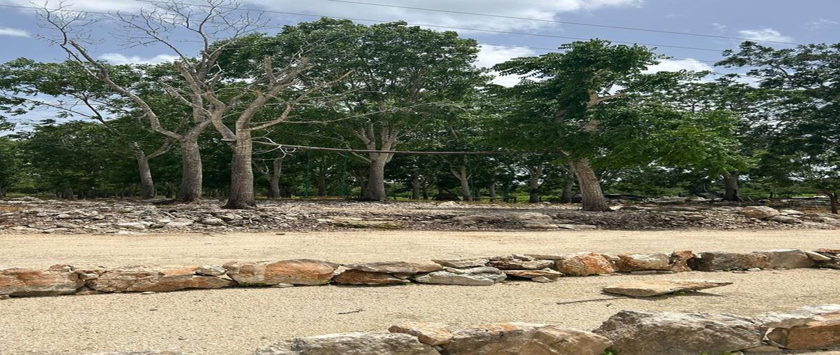 Foto de terreno habitacional en venta en  , muxupip, muxupip, yucatán, 0 No. 04