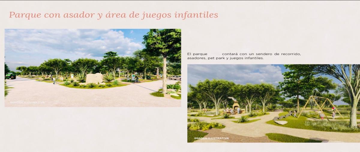 Foto de terreno habitacional en venta en muxupip whi302799, muxupip, muxupip, yucatán, 27303823 No. 04