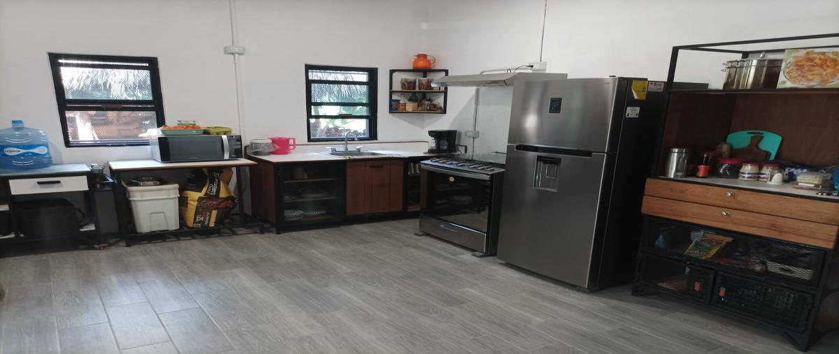 Foto de terreno habitacional en venta en muyil , san ramón, felipe carrillo puerto, quintana roo, 28172107 No. 03
