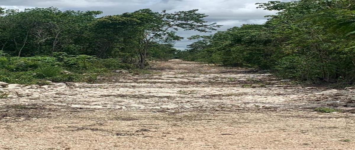 Foto de terreno habitacional en venta en na 1, puerto morelos, puerto morelos, quintana roo, 0 No. 03