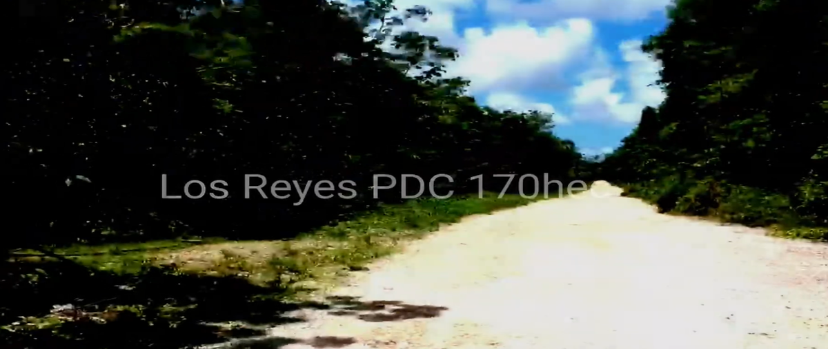Foto de terreno habitacional en venta en na 1, puerto morelos, puerto morelos, quintana roo, 0 No. 04