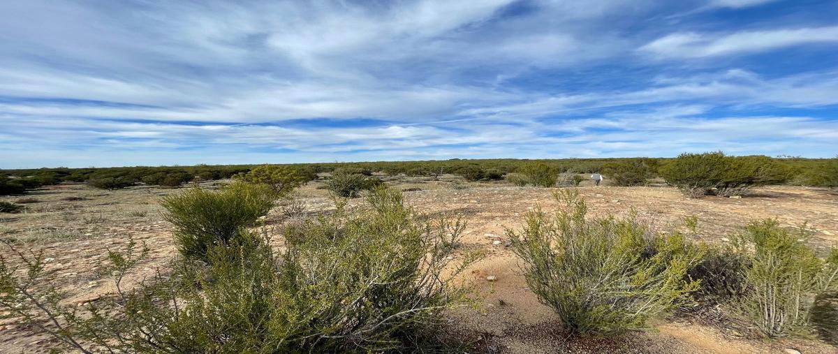 Foto de terreno habitacional en venta en n/a , cereso el hongo, tecate, baja california, 26083859 No. 03