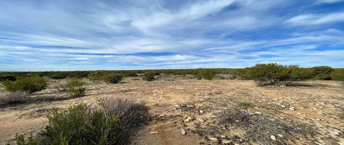 Foto de terreno habitacional en venta en n/a , cereso el hongo, tecate, baja california, 26083859 No. 04