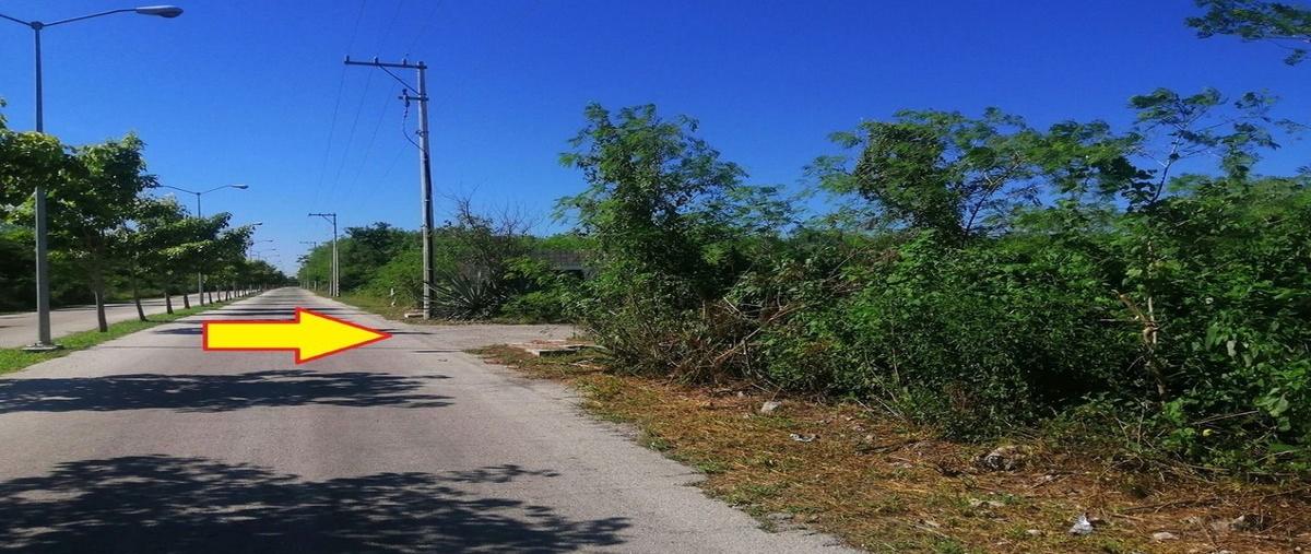Foto de terreno habitacional en venta en n/a , chicxulub puerto, progreso, yucatán, 28133808 No. 03
