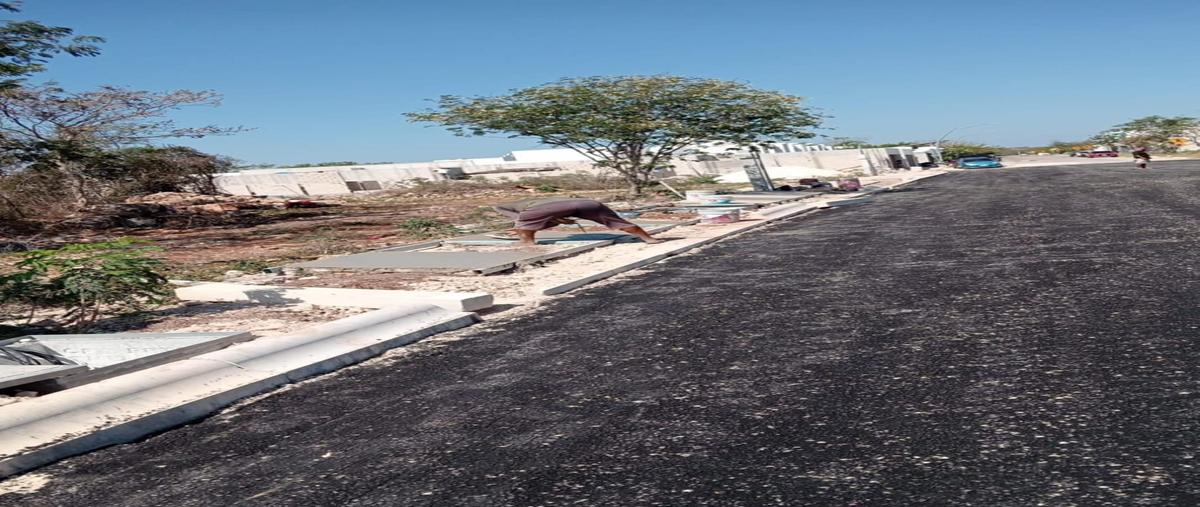 Foto de terreno habitacional en venta en n/a , cholul, mérida, yucatán, 29540635 No. 03