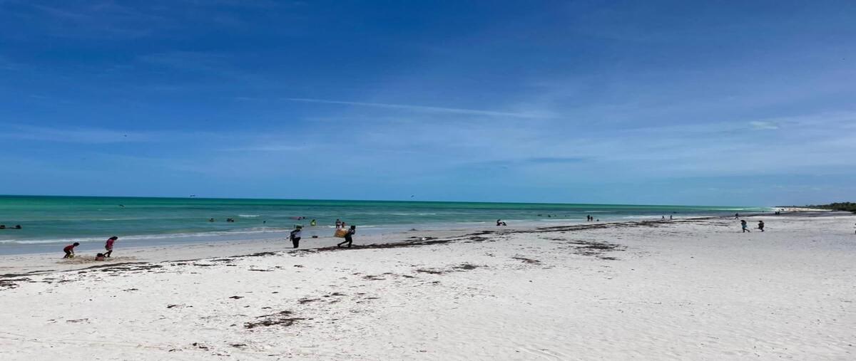 Foto de terreno habitacional en na , el cuyo, tizimín, yucatán, 0 foto 03 Foto de terreno habitacional en venta en na , el cuyo, tizimín, yucatán, 0 No. 03