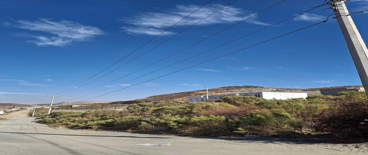 Foto de terreno habitacional en venta en na , el descanso, tecate, baja california, 30150623 No. 04